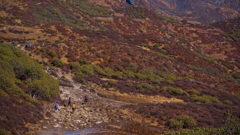 Uttarey-Singalila-Goechala Trek